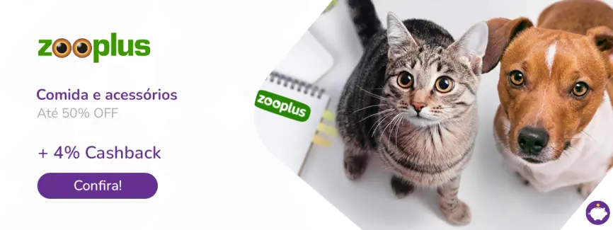 Comida e acessórios