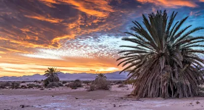 One Travel - R$ 5 Cashback