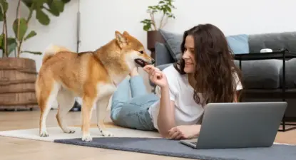 Tienda Animal - Até 6% Cashback