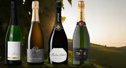 Vinatis - Até 2.5% Cashback