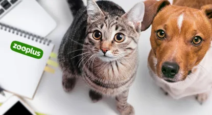 ZooPlus -  4% Cashback